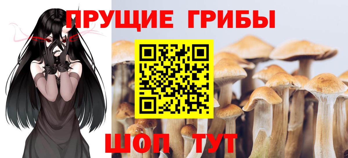 Гашиш  Вход с VPN  А ПВП СОЛЬ кристаллы  МЕТАМФЕТАМИН  Магнитогорск  МАРИХУАНА  Где купить наркотики?  Кокаин  Меф МЯУ МЯУ   НБОМе 